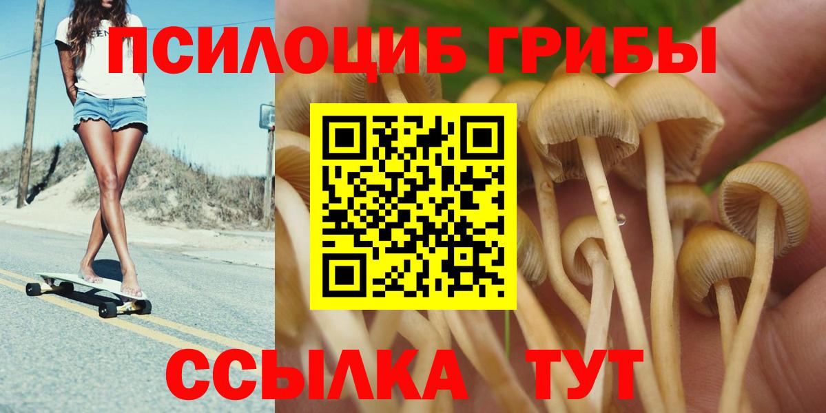 Галлюциногенные грибы Cubensis Каспийск